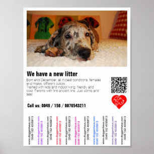 Valp till salu flygblad med QR-kod Poster