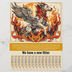 valp till salu flygbladsmallar reklamblad