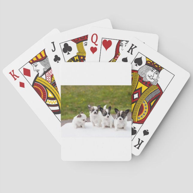 valpar-453532.jpg casinokort (Baksidan)