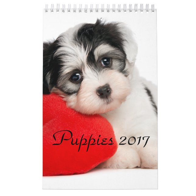 Valpar Calendar 2017 Kalender (Omslag)