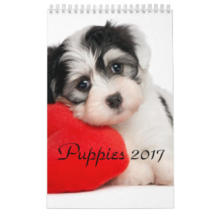 Valpar Calendar 2017 Kalender