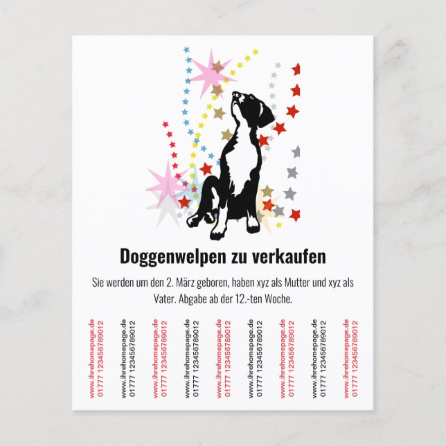Valpar Flyer  (Framsidan)