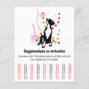 Valpar Flyer