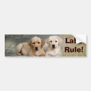Valpar för bildekal för den Labrador retrieveren