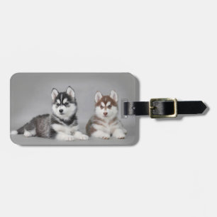 Valpar från siberian husky bagagebricka