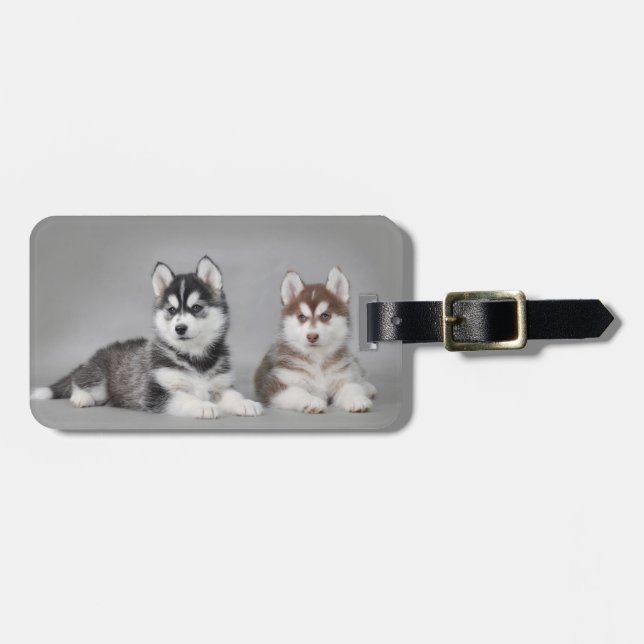 Valpar från siberian husky bagagebricka (Horisontell Framsida)