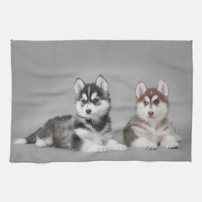 Valpar från siberian husky kökshandduk (Horisontell)