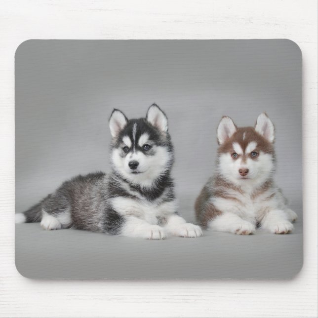 Valpar från siberian husky musmatta (Framsidan)