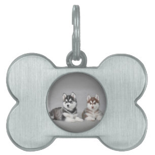 Valpar från siberian husky namnbricka husdjur