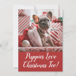Valpar i jul French Bulldog Julkort