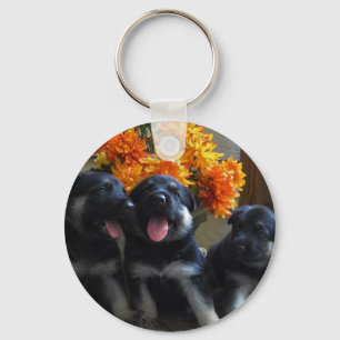 Valpar Keychain Nyckelring