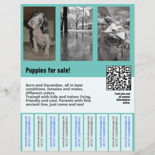 valpar mall flyer mall temp QR-kod