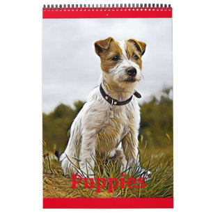 valpar med hund kalender