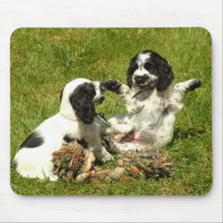 Valpar Mousepad för engelskacockerspanielSpaniel Musmatta
