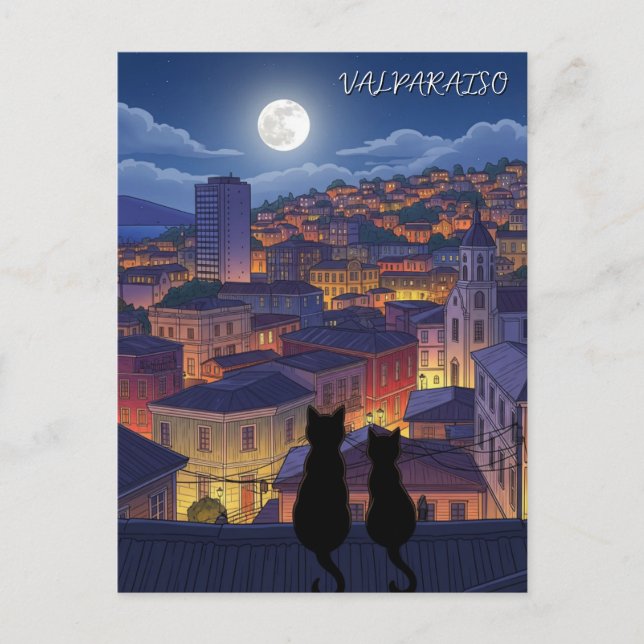 Valparaiso Chile-katter på natten Vykort (Framsida)