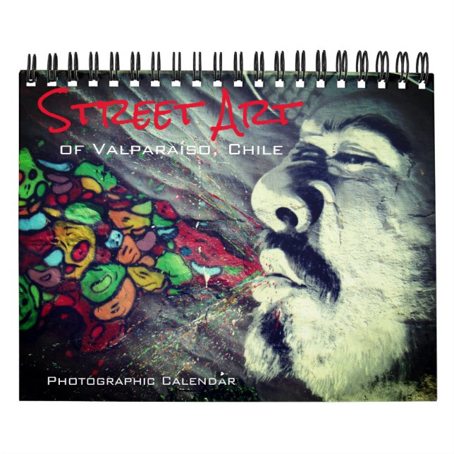 Valparaíso gata art 2025 small kalender (Omslag)