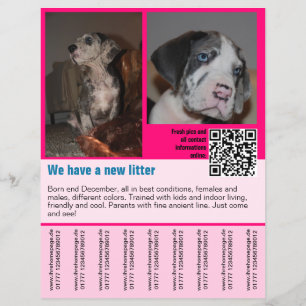 valparmall flyer mall QR-kod