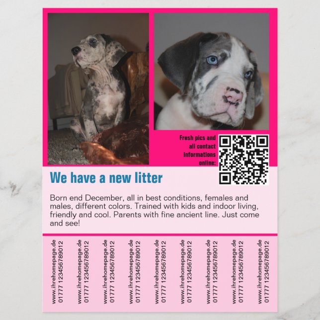 valparmall flyer mall QR-kod (Framsidan)