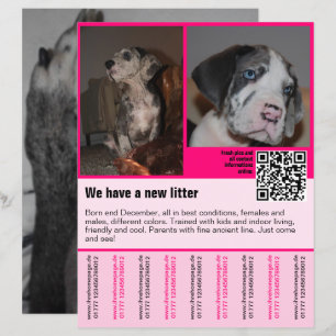 valparmall flyer mall valp QR-kod