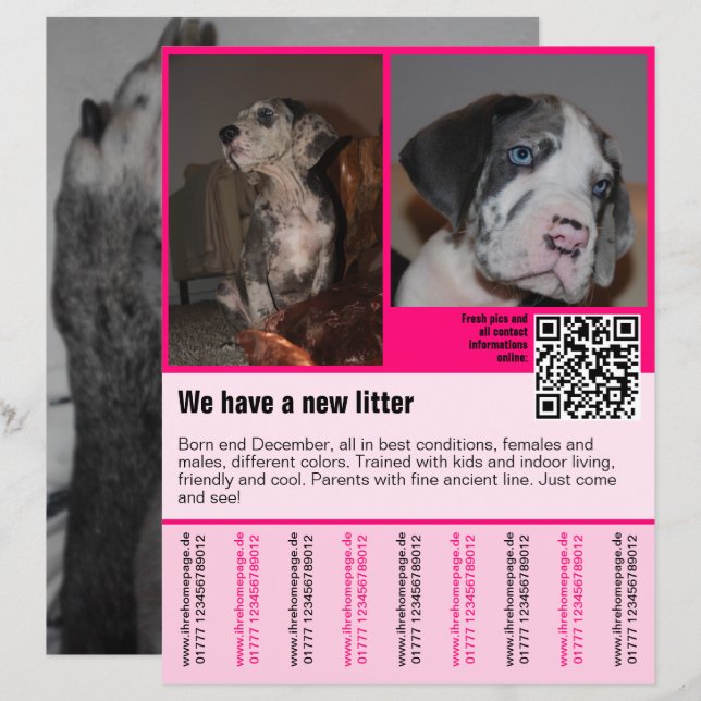 valparmall flyer mall valp QR-kod (Fram/baksida)