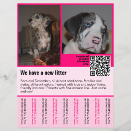 valparmall flyer mall valp QR-kod