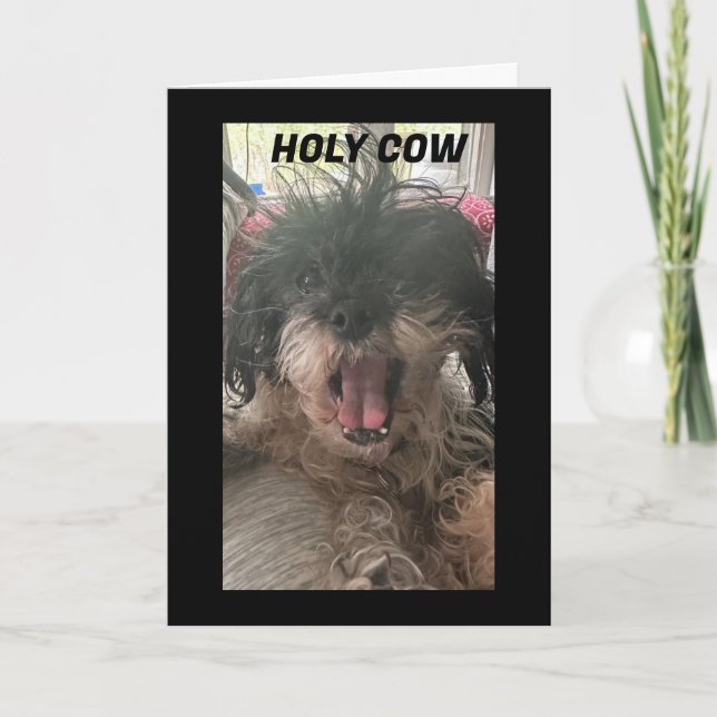 VALPEN ÄR BAFFLED-HUR HAR DU GJORT "60"? KORT (Framsida)