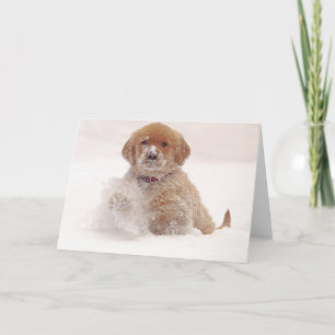 Valpen Golden Retriever i Snö Kort