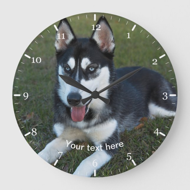 valpen Siberian husky Stor Klocka (Framsida)