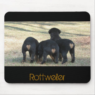 Valpen tajmar tre musmatta