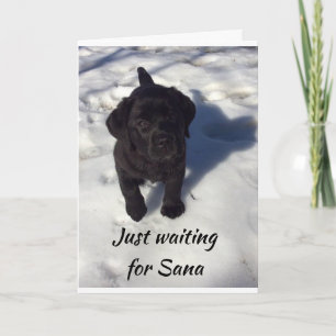 *VALPEN VÄNTAR PÅ SANTA* GOD JUL KORT