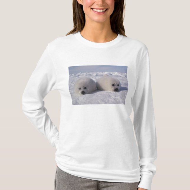Valper av hampsäl (Phoca groenlandica) Tee Shirt (Framsida)