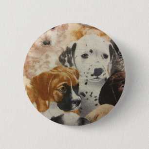 Valper för Dalmatien och Boxer Knapp
