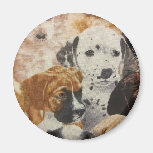 Valper för Dalmatien och Boxer Magnet (Framsidan)