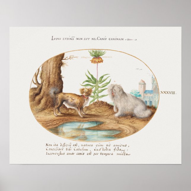 Valper för vintage Poster (Framsidan)