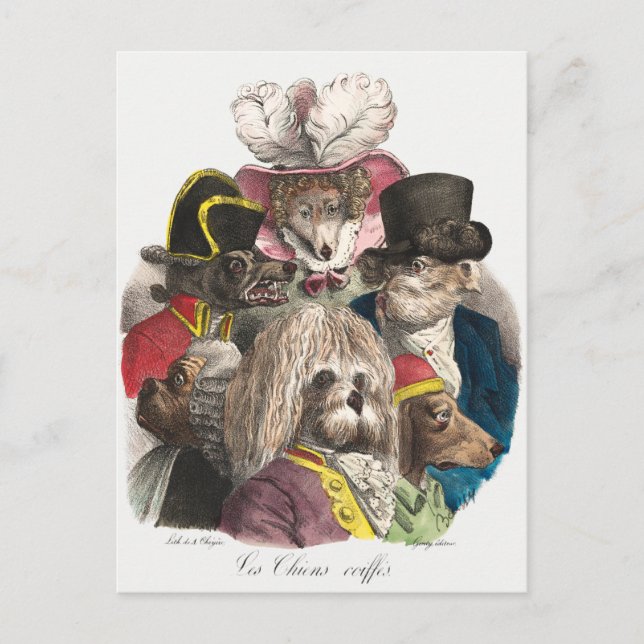 Valper för vintage vykort (Framsida)