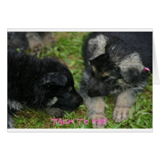 Valper Hälsningskort (Framsidan Horizontal)