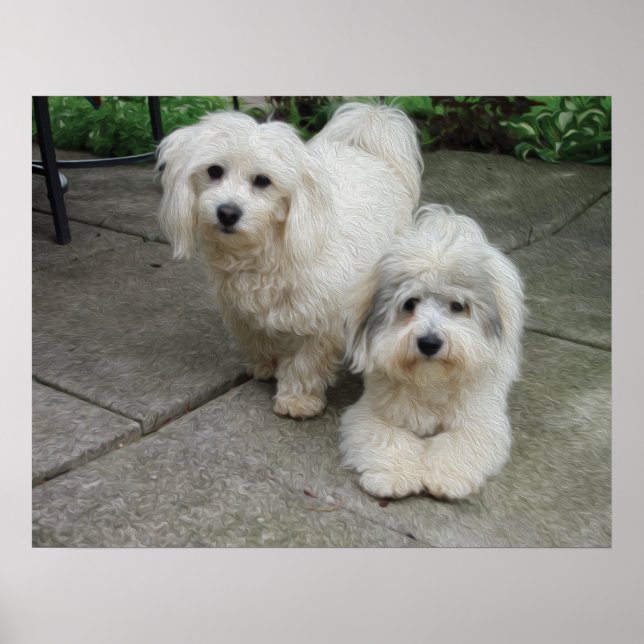 Valper i olja poster (Framsidan)