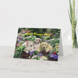 Valper med gyllene återtagandeband i Garden Greeti Helgkort