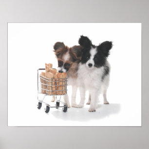 VALPER MED KART POSTER