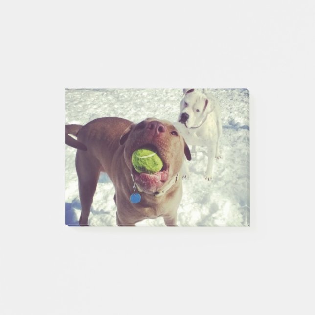 Valper som leker bollanteckningsbok post-it block (Framsida)