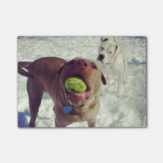 Valper som leker bollanteckningsbok post-it block