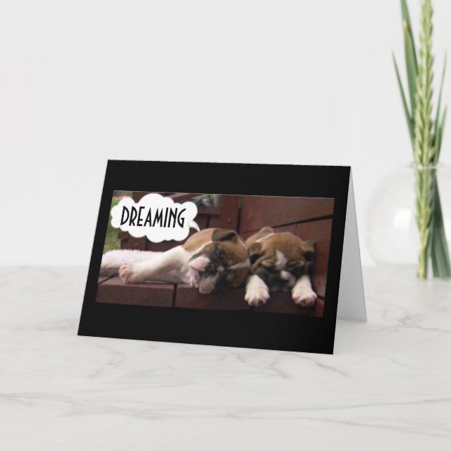 VALPER SOM VILL HA *DEN BÄSTA BIRTHDAY EVER** KORT (Framsida)