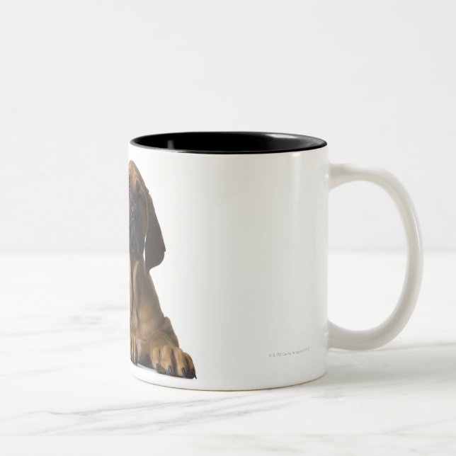 Valphund Två-Tonad Mugg (Höger)