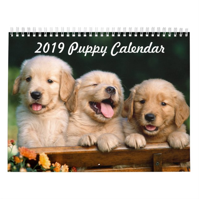 Valpkalender 2019 kalender (Omslag)