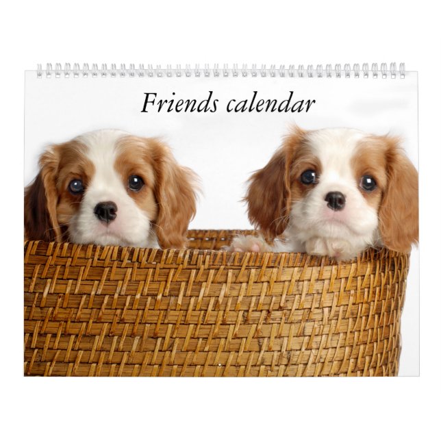 Valpkalender Kalender (Omslag)