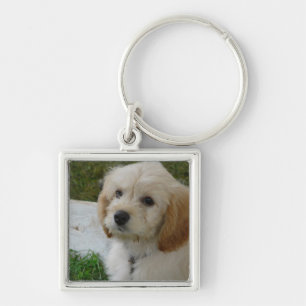 Valpkärlek - gulligt MaltiPoo hundfoto Fyrkantig Silverfärgad Nyckelring