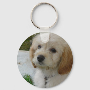 Valpkärlek - gulligt MaltiPoo hundfoto Nyckelring