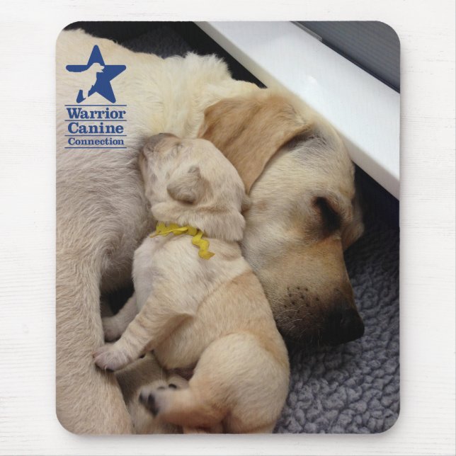 Valpkärlek Musmatta (Framsidan)