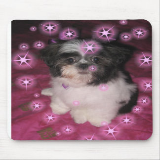 Valpkärlekmusen vadderar musmatta