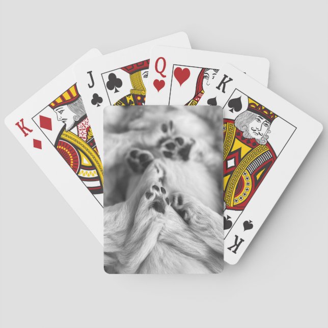 Valpklollekort Casinokort (Baksidan)